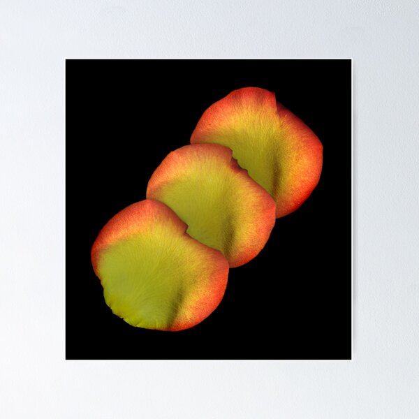 Item preview, Tri-Petal designed and sold by scankunst.