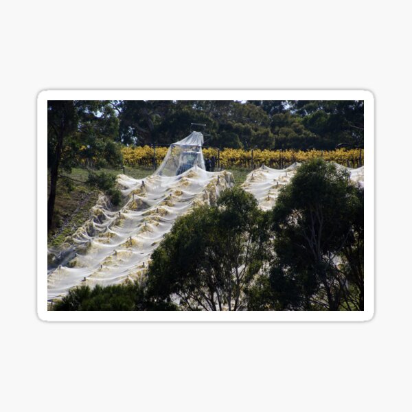 Vintage Nets Off - Magpie Springs - Adelaide Hills Wine Region - Fleurieu Peninsula - Winery Sticker