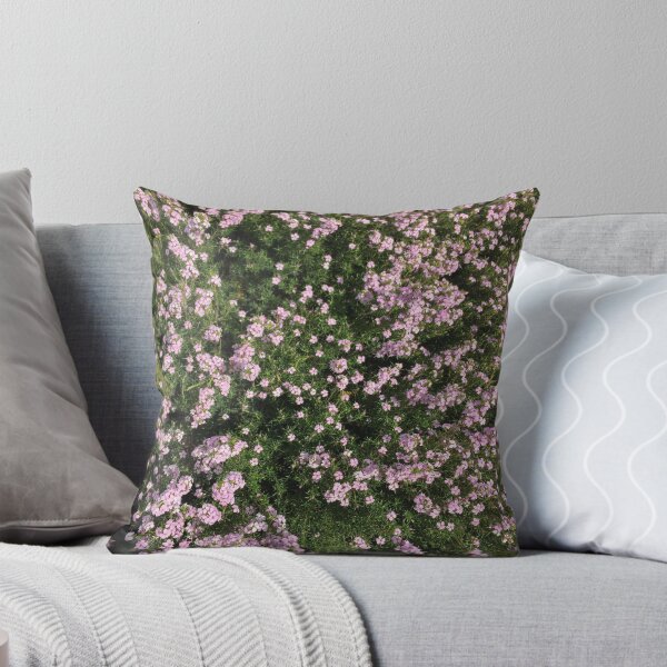 Item preview, Campo designed and sold by Keeley Clinton.