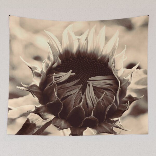 Item preview, Emerging Sunflower - Sepia designed and sold by Stradford.