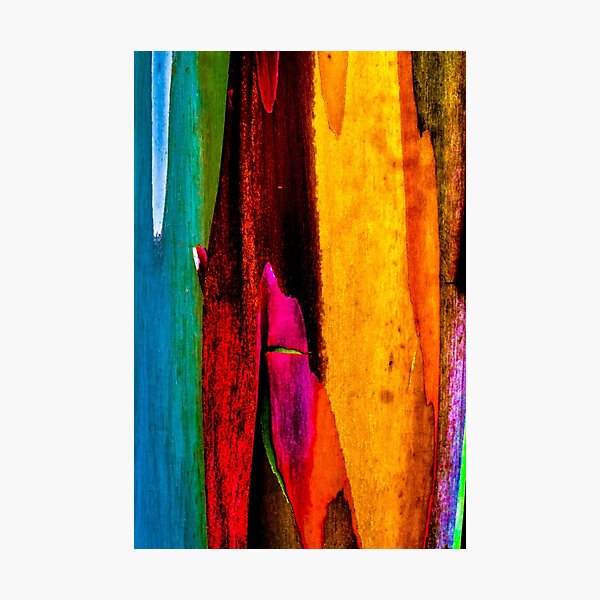 Item preview, Rainbow Bark 58 designed and sold by David Creagh.