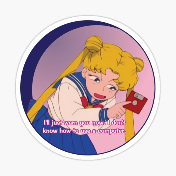 Usagi computer whiz Sticker