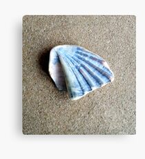 Just a Shell. Metal Print