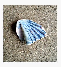 Just a Shell. Photographic Print