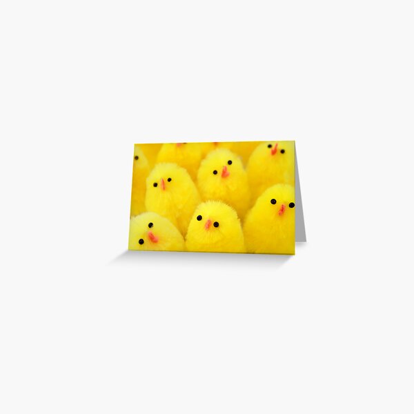 Easter Chicks Greeting Card