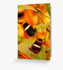 Mating Greeting Card