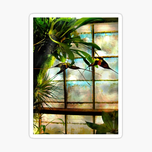 Hanging Out Orchid Style Sticker