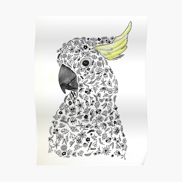 Cocky Poster For Sale By Caroline62 Redbubble