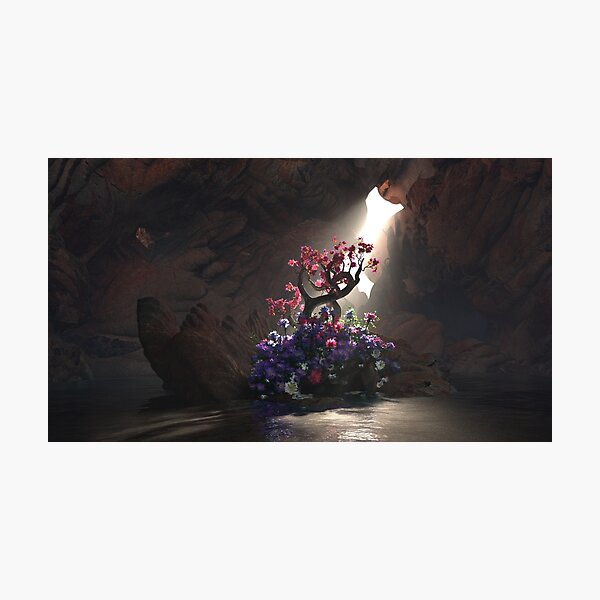 Biome Photographic Print