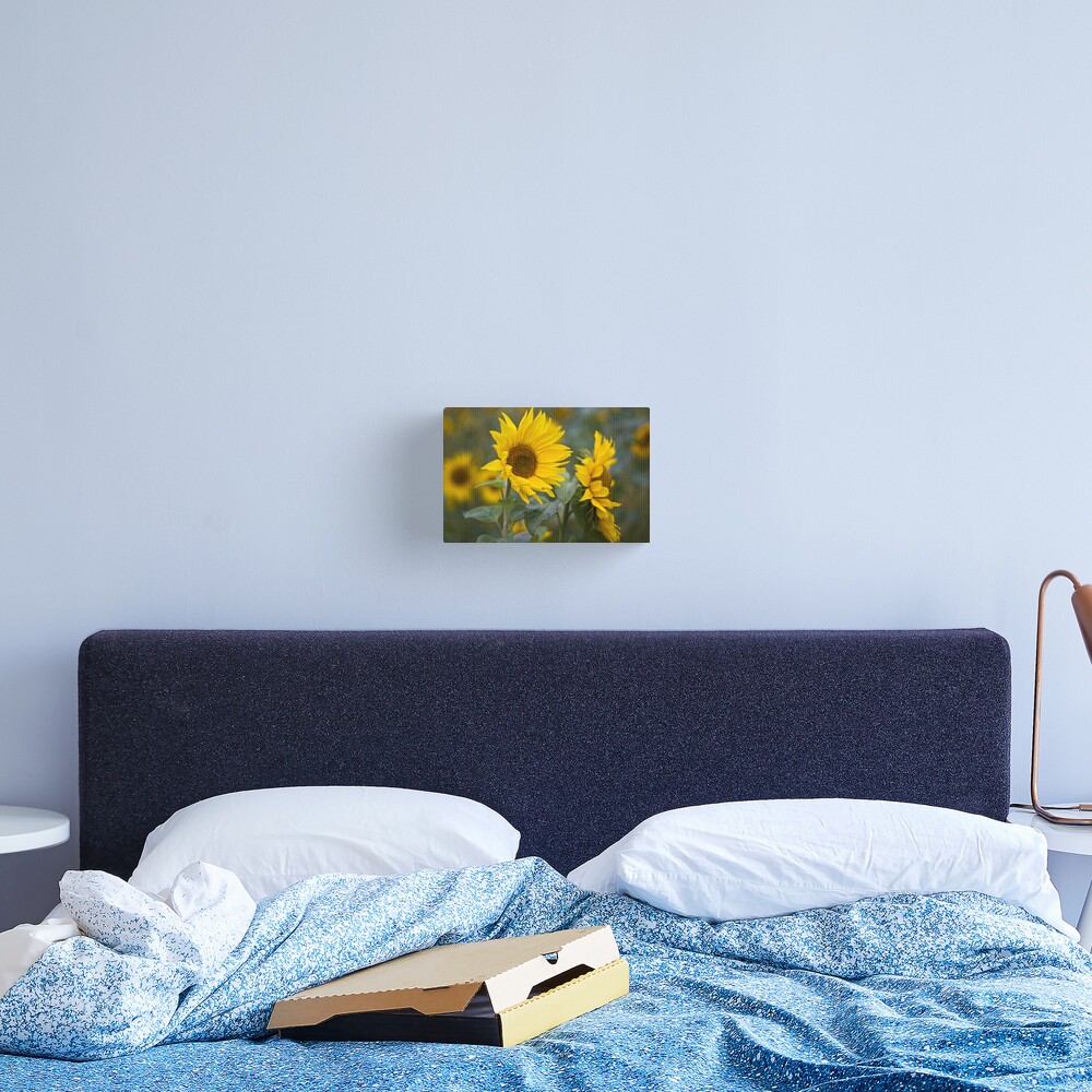 Sunflowers Canvas Print