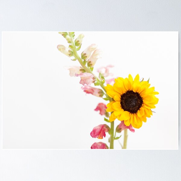 Item preview, Single Sunflower and Snapdragon designed and sold by AndreaBorden.