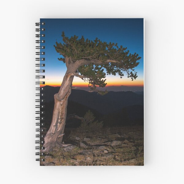 Item preview, Elf Wood Sunrise designed and sold by Greg Birkett.