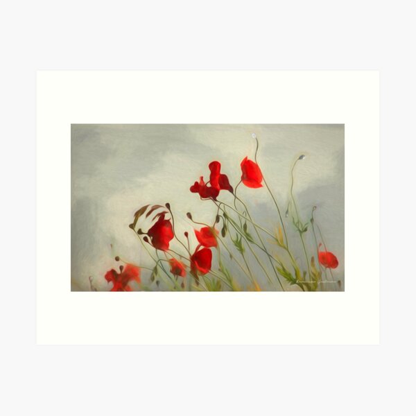 Coquelicots Impression artistique
