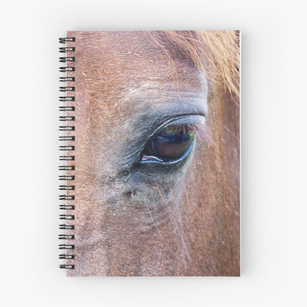 Item preview, Equus designed and sold by Carol Bleasdale.