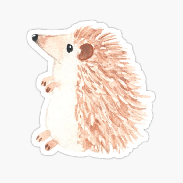 Hedgehog cute original watercolor painting Sticker