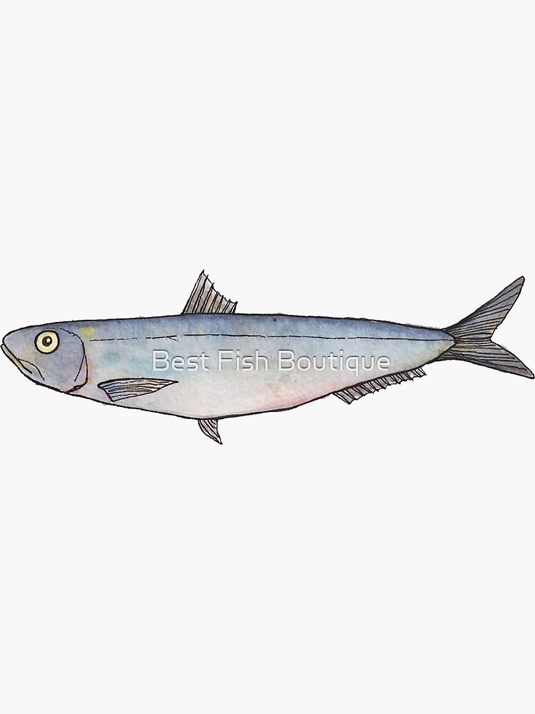 Sardine: Fish of Portugal | Sticker