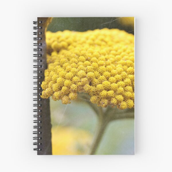 Item preview, Vintage Yellow Yarrow designed and sold by ASTRID EWING.
