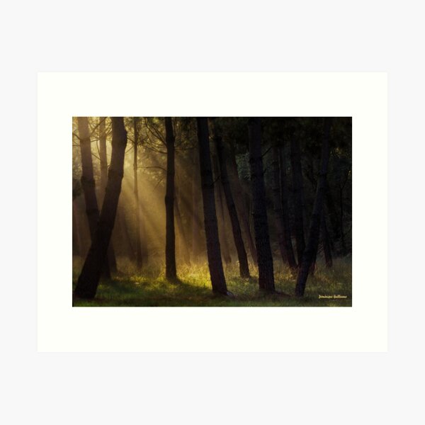 Entre l'ombre et la lumière Impression artistique