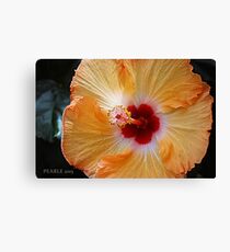 Hibiscus Yellow and Red Canvas Print