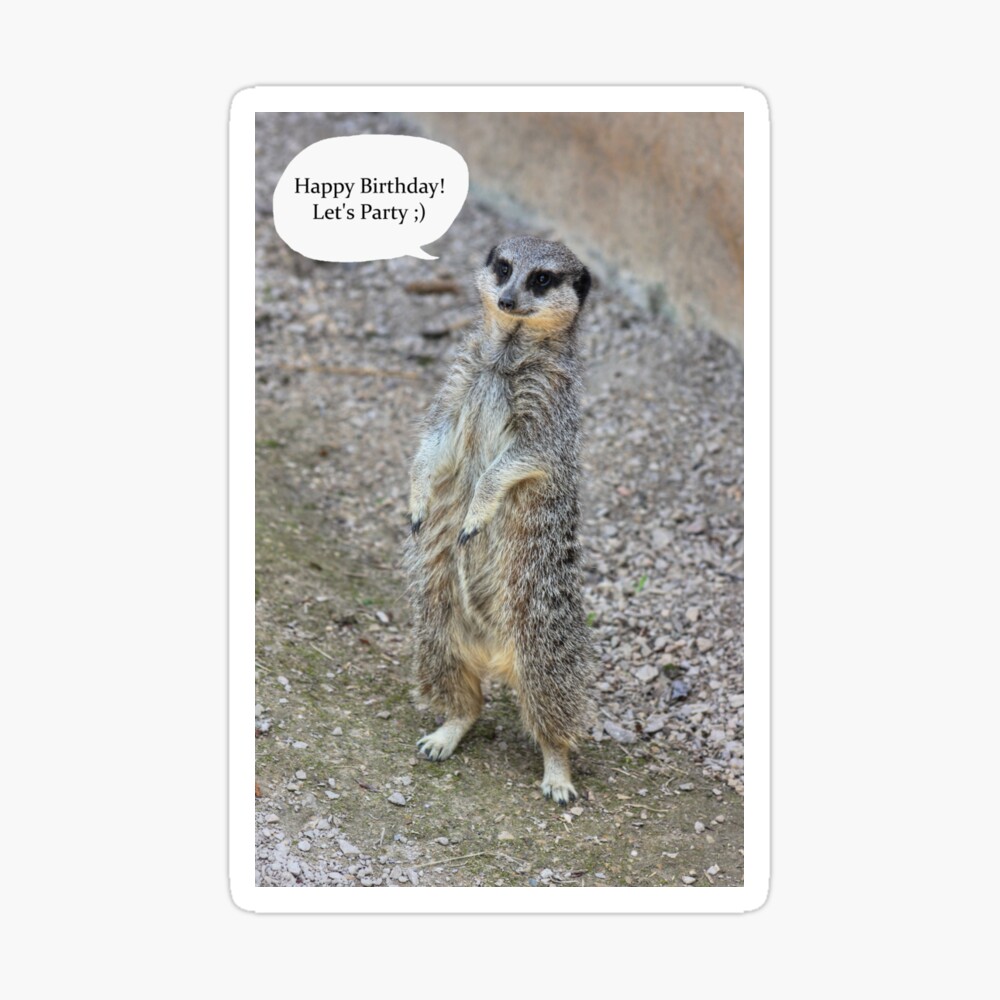 Meerkat Personalised Birthday Greetings Card 