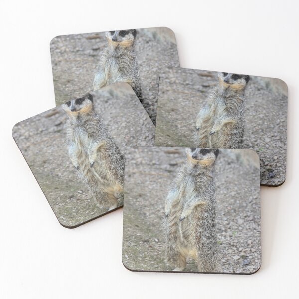 Item preview, Birthday Card (Meerkat) designed and sold by Vicki Spindler (VHS Photography).