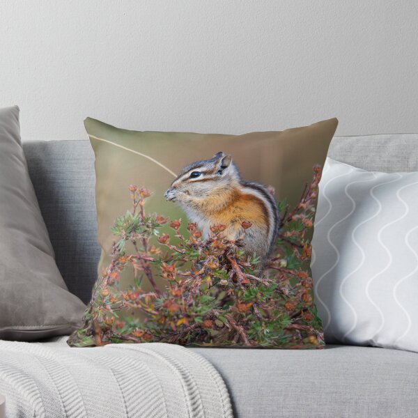 Item preview, Chipmunk designed and sold by Greg Birkett.