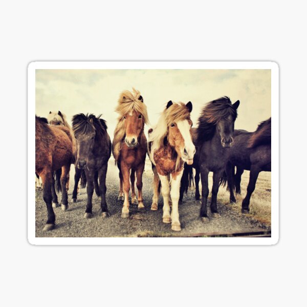 Item preview, Horses designed and sold by La Chic.