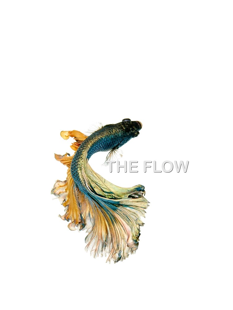 « The Flow » par Moutassem