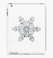 Sparkly Silver glitter snowflake iPad Case/Skin