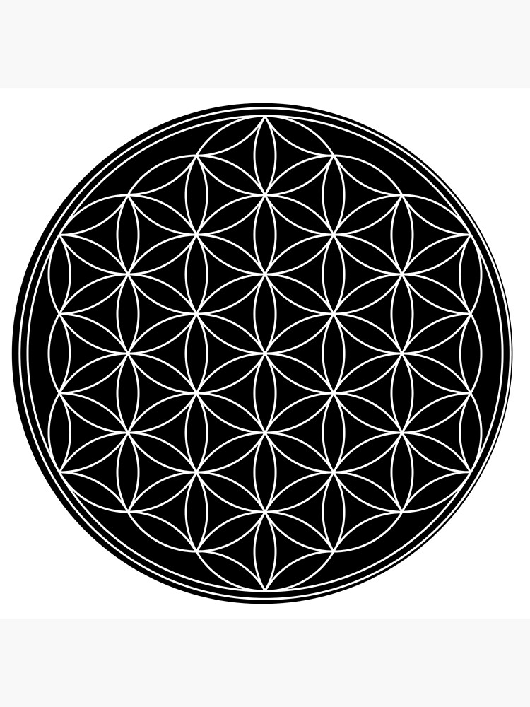 Flower of Life by rupertrussell