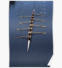 Mens 8 rowing Poster