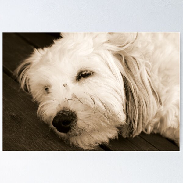 Item preview, Doggone Tired designed and sold by scottanderson2.