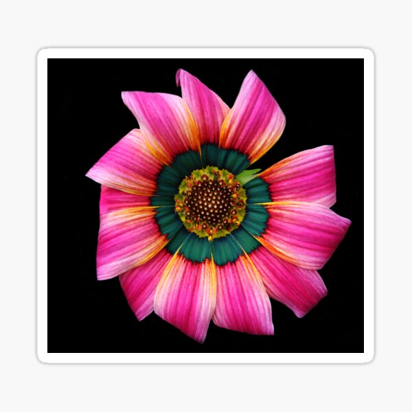 Bright Curls Flower Contrast Sticker