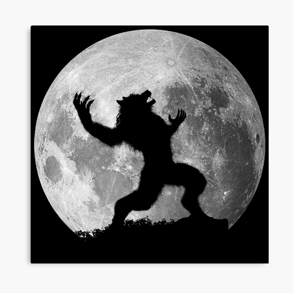 Impression Photo Loup Garou Rage A La Lune Par Viergacht Redbubble
