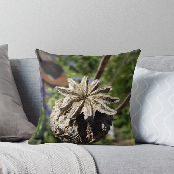 Item preview, The dying seedpod. designed and sold by Vanessa Galashan.