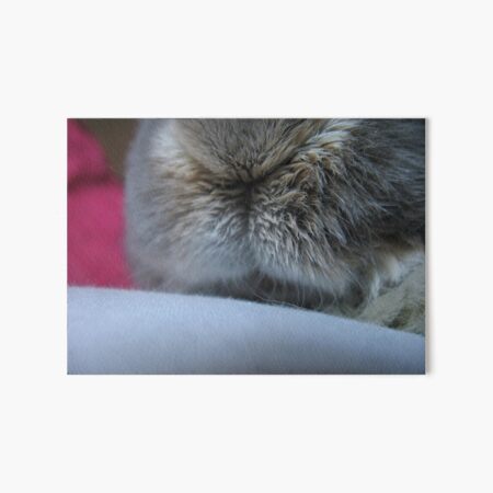 Button nose Art Board Print
