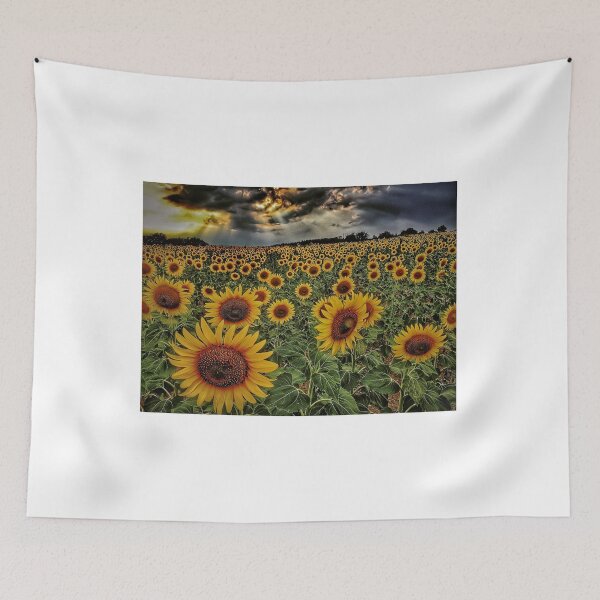 Item preview, Field of sunflowers designed and sold by Roberto Pagani.