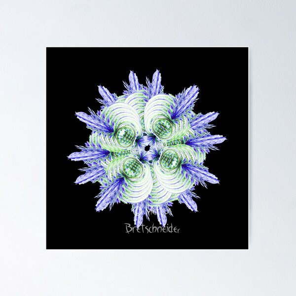Item preview, Virus designed and sold by VirginPrune.