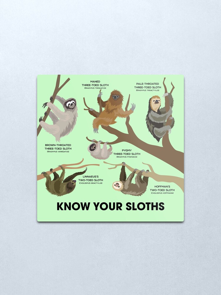 Alternate view of Know Your Sloths Metal Print