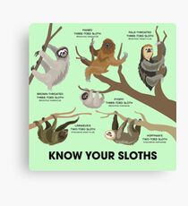 Know Your Sloths Canvas Print