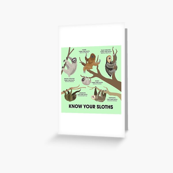 Know Your Sloths Greeting Card
