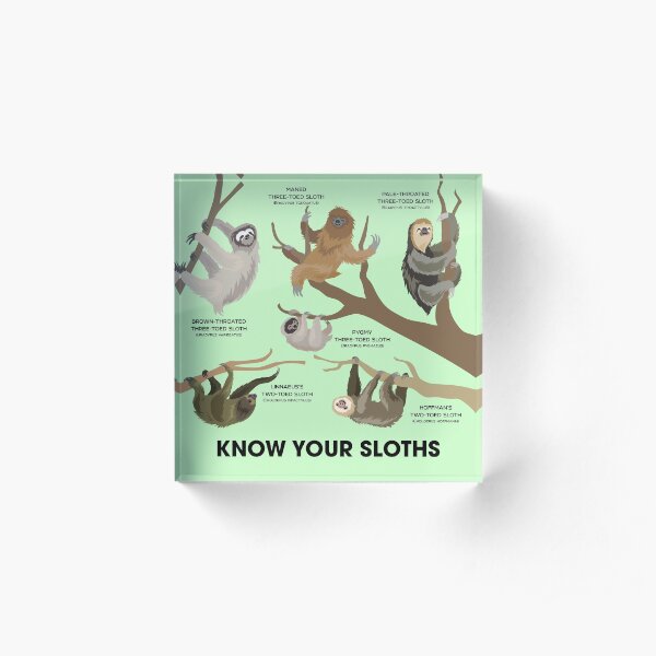 Know Your Sloths Acrylic Block