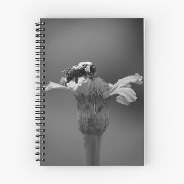 Item preview, Carpenter Bee on Marigold in Black and White designed and sold by StampCity.