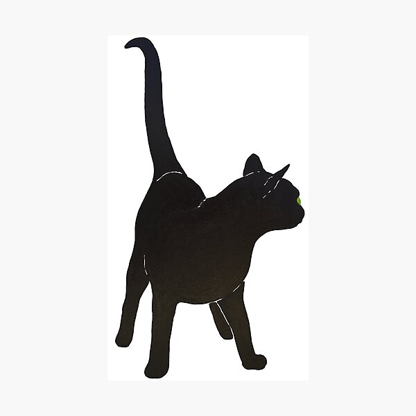 Item preview, Gato negro del gatito designed and sold by MatsonArtDesign.