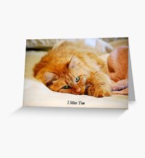 I Miss You, Maine Coon Cat Greeting Card