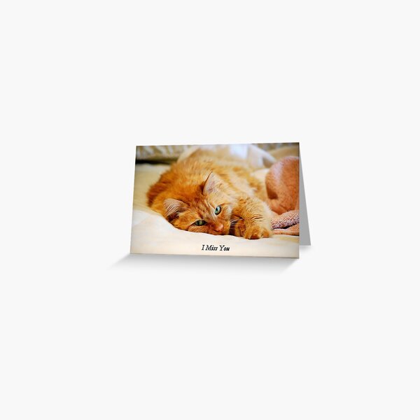 I Miss You, Maine Coon Cat Greeting Card