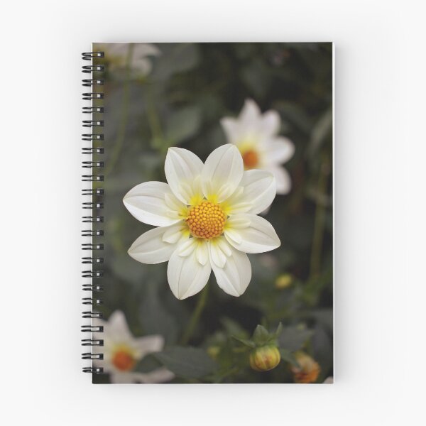 Item preview, White flower designed and sold by pennyschiereck.