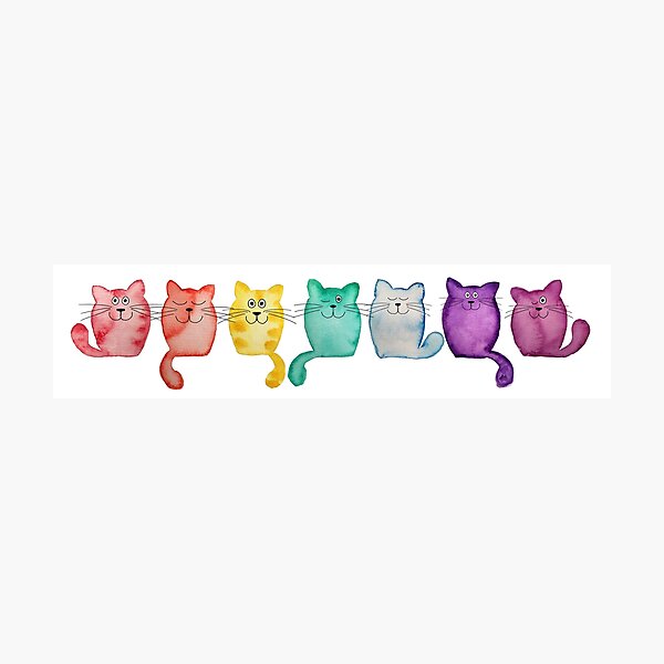 rainbow cats Photographic Print