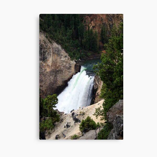 Lower Falls, Yellowstone Canvas Print