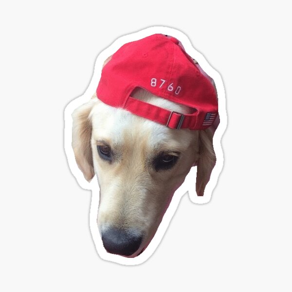 "dog with hat" Sticker for Sale by lola36610 Redbubble